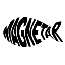 Magnetar Vismagneet